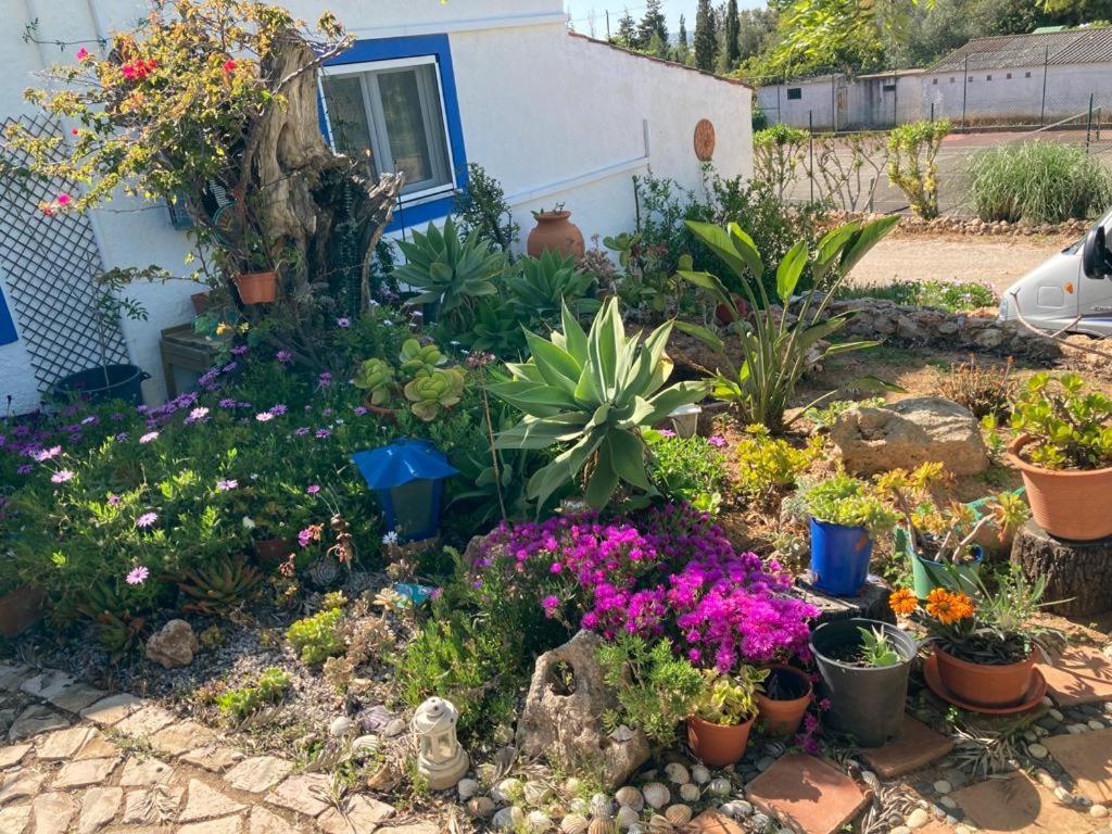 Casa Joy Βίλα Guia  Εξωτερικό φωτογραφία